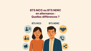 mco ndrc alternance difference visuel blog
